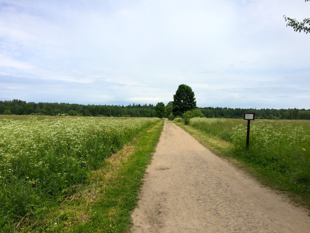 Długa droga od Parku Carskiego do Białowieskiego Parku Narodowego