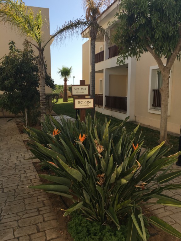 Aktea Beach Village Cypr opinie